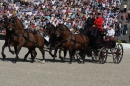 Hengstparade-Marbach-2011-011011-Bodensee-Community-SEECHAT_DE-IMG_0256.JPG