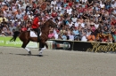 Hengstparade-Marbach-2011-011011-Bodensee-Community-SEECHAT_DE-IMG_0269.JPG