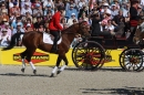 Hengstparade-Marbach-2011-011011-Bodensee-Community-SEECHAT_DE-IMG_0274.JPG