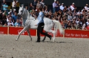 Hengstparade-Marbach-2011-011011-Bodensee-Community-SEECHAT_DE-IMG_0451.JPG