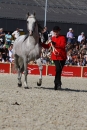 Hengstparade-Marbach-2011-011011-Bodensee-Community-SEECHAT_DE-IMG_0494.JPG