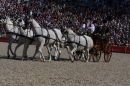 Hengstparade-Marbach-2011-011011-Bodensee-Community-SEECHAT_DE-IMG_0528.JPG