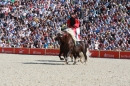 Hengstparade-Marbach-2011-011011-Bodensee-Community-SEECHAT_DE-IMG_0560.JPG