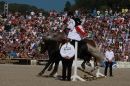 Hengstparade-Marbach-2011-011011-Bodensee-Community-SEECHAT_DE-IMG_0568.JPG