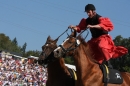 Hengstparade-Marbach-2011-011011-Bodensee-Community-SEECHAT_DE-IMG_0570.JPG
