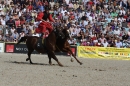 Hengstparade-Marbach-2011-011011-Bodensee-Community-SEECHAT_DE-IMG_0588.JPG