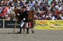Hengstparade-Marbach-2011-011011-Bodensee-Community-SEECHAT_DE-IMG_0672.JPG