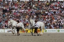Hengstparade-Marbach-2011-011011-Bodensee-Community-SEECHAT_DE-IMG_0678.JPG