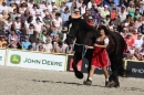 Hengstparade-Marbach-2011-011011-Bodensee-Community-SEECHAT_DE-IMG_0680.JPG