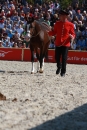 Hengstparade-Marbach-2011-011011-Bodensee-Community-SEECHAT_DE-IMG_0688.JPG
