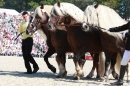 Hengstparade-Marbach-2011-011011-Bodensee-Community-SEECHAT_DE-IMG_0707.JPG