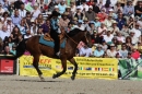Hengstparade-Marbach-2011-011011-Bodensee-Community-SEECHAT_DE-IMG_0893.JPG