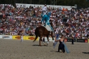 Hengstparade-Marbach-2011-011011-Bodensee-Community-SEECHAT_DE-IMG_1023.JPG