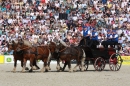 Hengstparade-Marbach-2011-011011-Bodensee-Community-SEECHAT_DE-IMG_1108.JPG