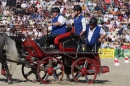 Hengstparade-Marbach-2011-011011-Bodensee-Community-SEECHAT_DE-IMG_1350.JPG