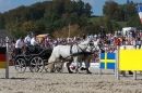 Hengstparade-Marbach-2011-011011-Bodensee-Community-SEECHAT_DE-IMG_1366.JPG