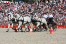 Hengstparade-Marbach-2011-011011-Bodensee-Community-SEECHAT_DE-IMG_1382.JPG