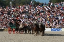 Hengstparade-Marbach-2011-011011-Bodensee-Community-SEECHAT_DE-IMG_1961.JPG