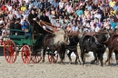 Hengstparade-Marbach-2011-011011-Bodensee-Community-SEECHAT_DE-IMG_1963.JPG