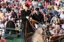 Hengstparade-Marbach-2011-011011-Bodensee-Community-SEECHAT_DE-IMG_1965.JPG