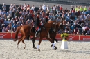 Hengstparade-Marbach-2011-011011-Bodensee-Community-SEECHAT_DE-IMG_1975.JPG