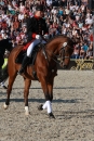 Hengstparade-Marbach-2011-011011-Bodensee-Community-SEECHAT_DE-IMG_1988.JPG