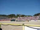 Hengstparade-Marbach-2011-03011-Bodensee-Community-SEECHAT_DE-.JPG