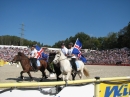 Hengstparade-Marbach-2011-03011-Bodensee-Community-SEECHAT_DE-_13.JPG