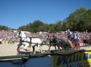 Hengstparade-Marbach-2011-03011-Bodensee-Community-SEECHAT_DE-_134.JPG