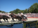 Hengstparade-Marbach-2011-03011-Bodensee-Community-SEECHAT_DE-_135.JPG