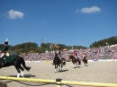 Hengstparade-Marbach-2011-03011-Bodensee-Community-SEECHAT_DE-_21.JPG