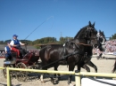 Hengstparade-Marbach-2011-03011-Bodensee-Community-SEECHAT_DE-_29.JPG