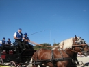 Hengstparade-Marbach-2011-03011-Bodensee-Community-SEECHAT_DE-_35.JPG