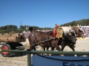 Hengstparade-Marbach-2011-03011-Bodensee-Community-SEECHAT_DE-_52.JPG