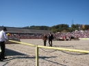 Hengstparade-Marbach-2011-03011-Bodensee-Community-SEECHAT_DE-_61.JPG