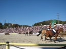 Hengstparade-Marbach-2011-03011-Bodensee-Community-SEECHAT_DE-_70.JPG