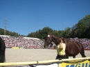 Hengstparade-Marbach-2011-03011-Bodensee-Community-SEECHAT_DE-_90.JPG