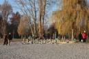 Volker-Paul-Stein-Balance-Radolfzell-Bodensee-Community-12112011-SEECHAT_DE-IMG_8947.JPG