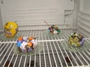 Vernissage-Braeg-Bad-Schussenried-171111-Bodensee-Community-SEECHAT-DE_70.JPG