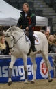 GERMAN-MASTERS-Reitturnier-Stuttgart-191111-Bodensee-Community-SEECHAT-DE-DSC_0233.JPG