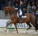 GERMAN-MASTERS-Reitturnier-Stuttgart-19112011-Bodensee-Community-SEECHAT-DE-DSC_0056.JPG