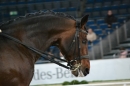 GERMAN-MASTERS-Reitturnier-Stuttgart-19112011-Bodensee-Community-SEECHAT-DE-_15.JPG