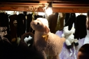 seechat-Bodensee-Community-Treffen-Weihnachtsmarkt-Konstanz-111211-SEECHAT_DE-_55.JPG