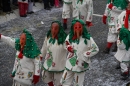 Narrentreffen-Rielasingen-29012012-Bodensee-Community-Seechat_de_343.jpg