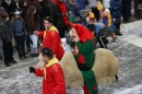 Narrentreffen-Rielasingen-29012012-Bodensee-Community-Seechat_de_501.jpg