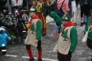 Narrentreffen-Rielasingen-29012012-Bodensee-Community-Seechat_de_701.jpg