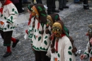 Narrentreffen-Rielasingen-29012012-Bodensee-Community-Seechat_de_706.jpg