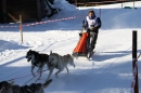 Schlittenhunderennen-Bernau-04022012-Bodensee-Community-Seechat_de_1210.jpg