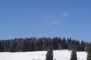 Schlittenhunderennen-Bernau-04022012-Bodensee-Community-seechat_de_07.jpg