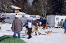 Schlittenhunderennen-Bernau-04022012-Bodensee-Community-seechat_de_107.jpg